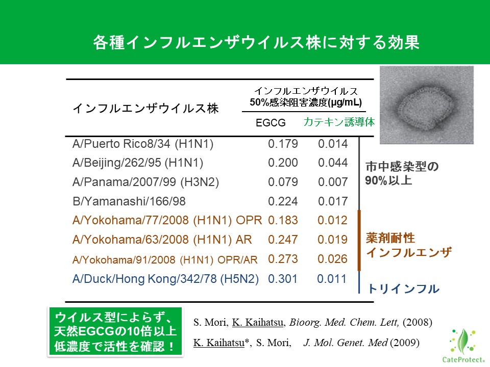Slide 4