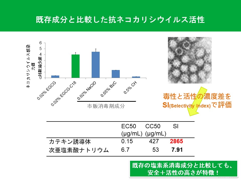 Slide 5