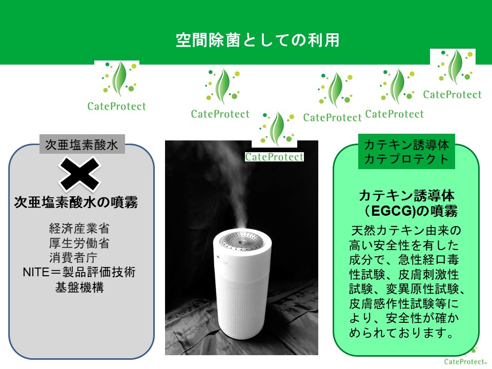 Slide 6